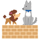 ミックス犬で失敗しないために気を付ける事や、おすすめの種類を紹介
